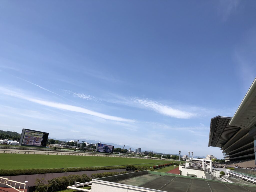 東京競馬場